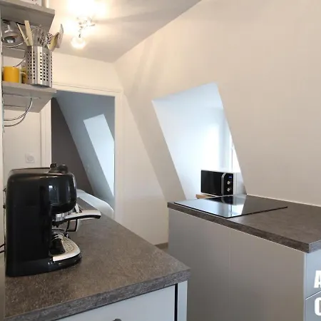 Appartamento T3 Au Mont-dore, Hyper Centre, Proche Thermes, Bien équipé, Max 4 Pers, Petit Chien Ok. - Fr-1-608-227 Le Mont-Dore