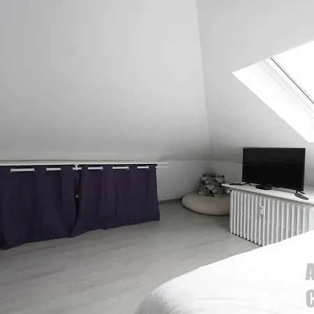 T3 Au Mont-dore, Hyper Centre, Proche Thermes, Bien équipé, Max 4 Pers, Petit Chien Ok. - Fr-1-608-227 Appartamento