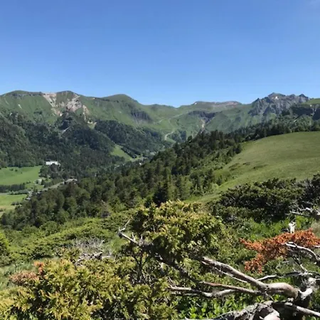 T3 Au Mont-dore, Hyper Centre, Proche Thermes, Bien équipé, Max 4 Pers, Petit Chien Ok. - Fr-1-608-227 *