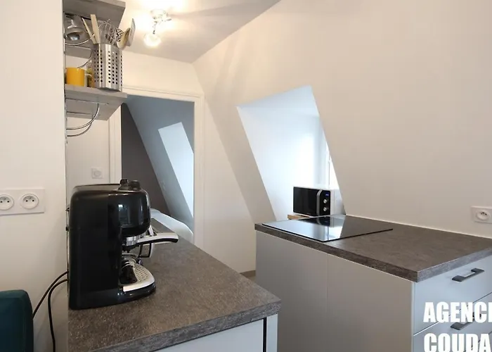 Appartement T3 Au Mont-dore, Hyper Centre, Proche Thermes, Bien équipé, Max 4 Pers, Petit Chien Ok. - Fr-1-608-227 Le Mont-Dore