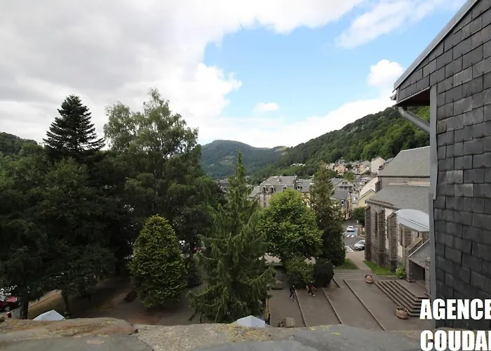 Appartement T3 Au Mont-dore, Hyper Centre, Proche Thermes, Bien équipé, Max 4 Pers, Petit Chien Ok. - Fr-1-608-227