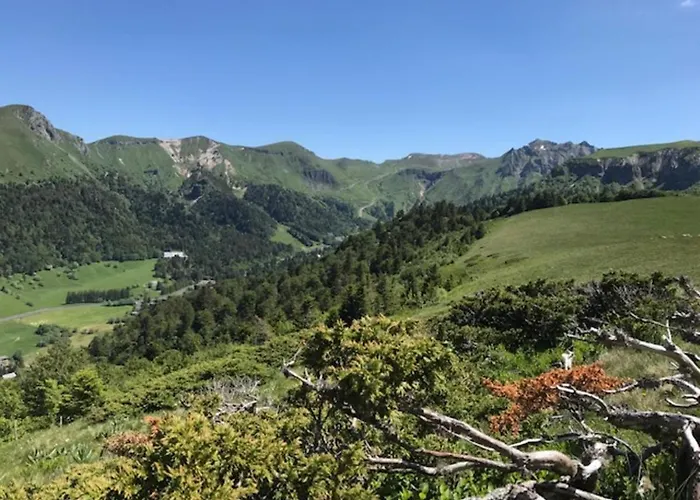 T3 Au Mont-dore, Hyper Centre, Proche Thermes, Bien équipé, Max 4 Pers, Petit Chien Ok. - Fr-1-608-227 *